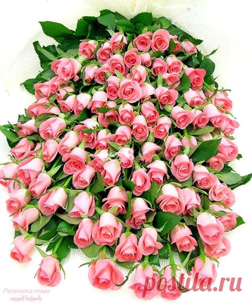 ՇնՈՐՀԱՎՈՐ...7 ապրիլ🌷


Մայրության և Գեղեցկության , Պտղաբերության և Բերկրության գարնանային այս զարթոնք տոնը Ձերն է թանկագին հայուհիներ...:
Առողջություն, երջանկություն ու հաջողություններ Ձեզ....🌼
Թող մայրական սրտի ջերմությունը , կանացի հմայքը, պայծառ ժպիտը, քնքշությունն ու գրավչությունը հավերժ ձեր ուղեկիցը լինեն:
ԱՍՏՎԱԾԱՄՈՐ բարեխոսությամբ առաջնորդվենք...🙏Աստծո զորությամբ բոլոր դժվարություններն այսուհետ անցյալին մնան: