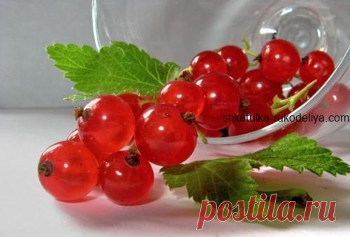 Домашняя косметика с красной смородиной Смородина улучшает состояние загрязненной, жирной и комбинированной кожи. Как использовать это для красоты? Лучше ее есть. Маленькие красные плоды этой ягоды содержат много витамина С, защищают от …