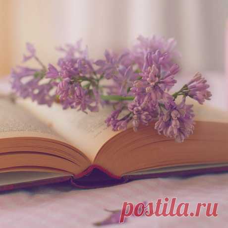 Сиреневое настроение;) Подборка натюрмортов — Фотоискусство