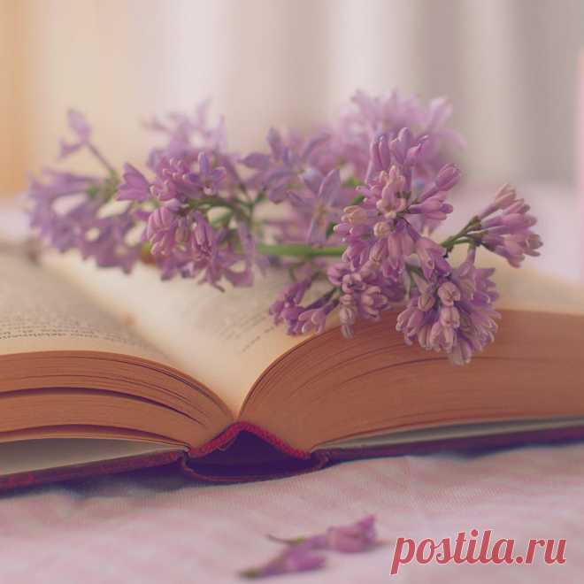 Сиреневое настроение;) Подборка натюрмортов — Фотоискусство