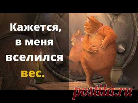 Толстый кот Жирофей. Когда лишний вес мешает...Это не Прикол.