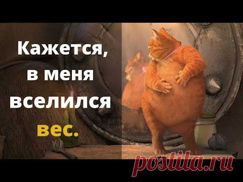 Толстый кот Жирофей. Когда лишний вес мешает...Это не Прикол.