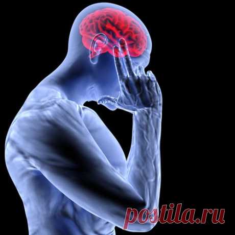 Снова заболела голова? Прежде, чем глотать очередную порцию обезболивающих и спазмолитиков, пойдем на кухню и посмотрим, что там у нас есть (чтобы съесть). Еда — не просто топливо для организма. Каждый продукт — это химическая лаборатория.
И в некоторых из них точно есть то, что нам может помочь от головной боли.