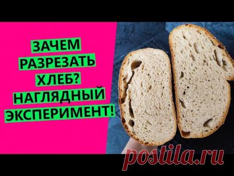 Зачем😲 разрезать хлеб перед выпечкой? Наглядный эксперимент!