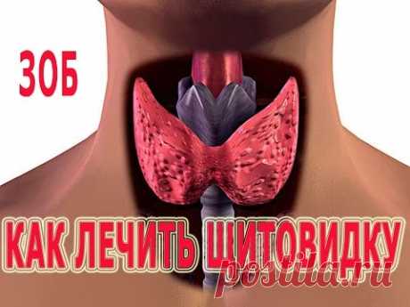 ★Как ЛЕЧИТЬ ЩИТОВИДКУ дома. Ранние признаки ЗОБа.