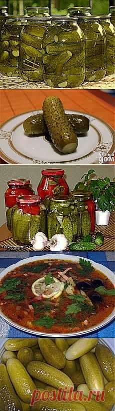 ОГУРЦЫ СОЛЕНЫЕ