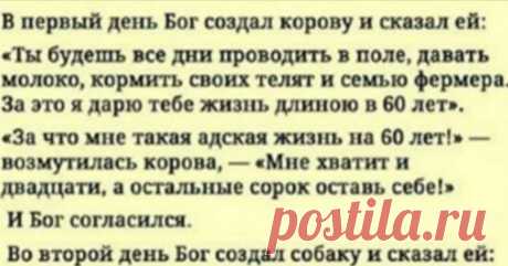 Самая мудрая притча, которую я читала за последнее время!