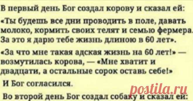 Самая мудрая притча, которую я читала за последнее время!