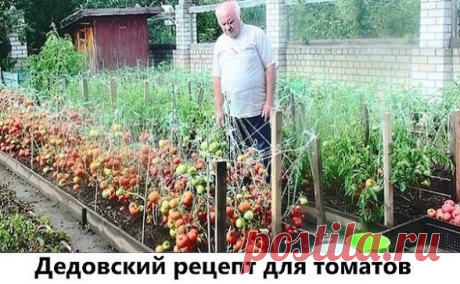 (68) Одноклассники