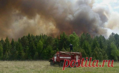 В Торопце запретили посещать леса после атаки дронов. Запрет будет действовать до 1 октября, в это время в лесах будут вести патрулирование. Тверские власти заявили, что мера нужна для обеспечения безопасности жителей при ликвидации последствий атаки дронов