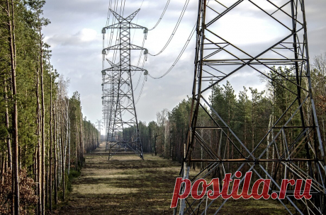 Штраф 400 т.р. за отключение садоводов от электроэнергии | Я- Адвокат.РУ | Яндекс Дзен