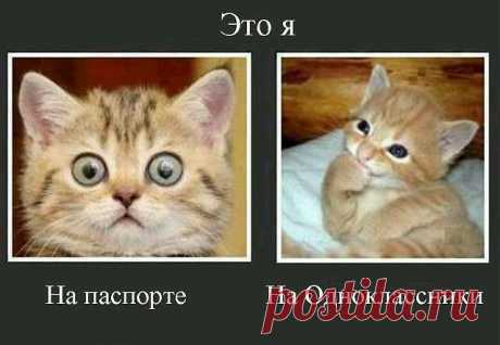 Татьяна Владимировна
30 лет, Мозамбик, ©Свободный