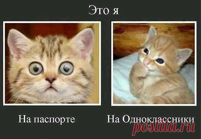 Татьяна Владимировна
30 лет, Мозамбик, ©Свободный