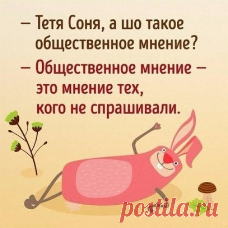 (35) Одноклассники