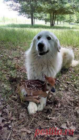 Cute Emergency's photo | Pixable