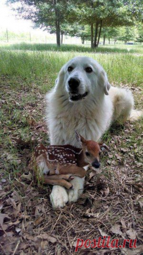 Cute Emergency's photo | Pixable