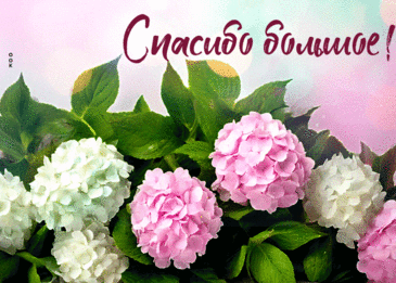 За Вашу помощь и внимание
Вас искренне благодарю.
Спасибо Вам за понимание,
Я это в сердце сохраню.