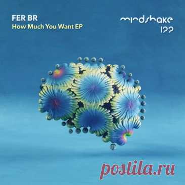 Fer BR – How Much You Want EP [MINDSHAKE122]