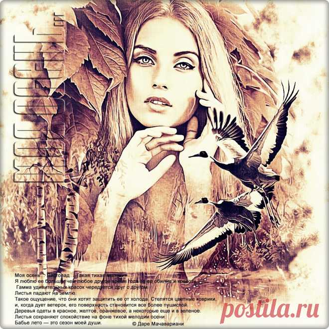 Сезон моей души ~ Открытки ~ zhivopismira.ru
