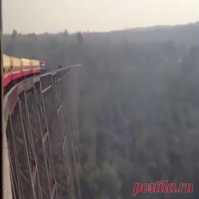 (50) Одноклассники