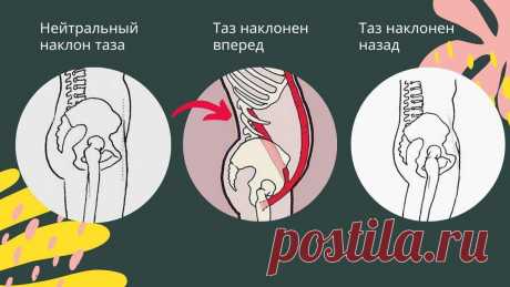 Как гиперлордоз, передний наклон таза, затягивает ткани лица вниз. Упражнение от болей в пояснице
Передний наклон таза Передний наклон таза Передний наклон таза — это когда таз наклонен вперед. Эта одна из наиболее часто встречающихся проблем у женщин, мужчин и даже детей. При переднем наклоне таза появляется чрезмерный прогиб в пояснице, а спереди вываливается живот, который не убирается...
Читай дальше на сайте. Жми подробнее ➡