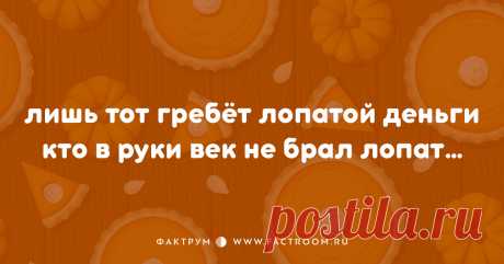 «Полупирожки»: 12 остроумных двустиший о нашей с вами жизни - МирТесен