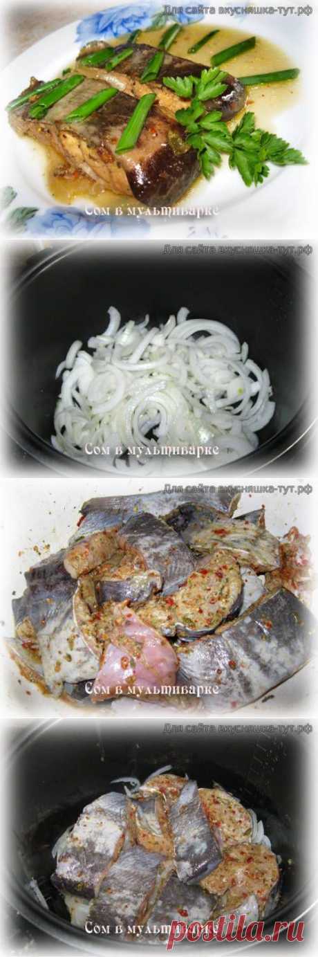 Сом в мультиварке - Готовим сами