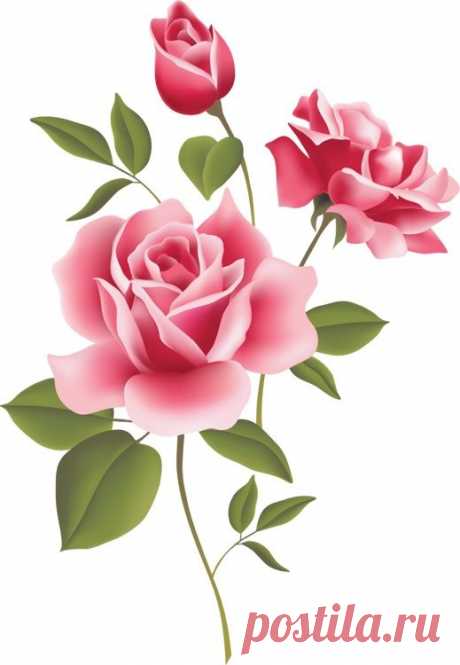 Beautiful Clip Art Of Flowers