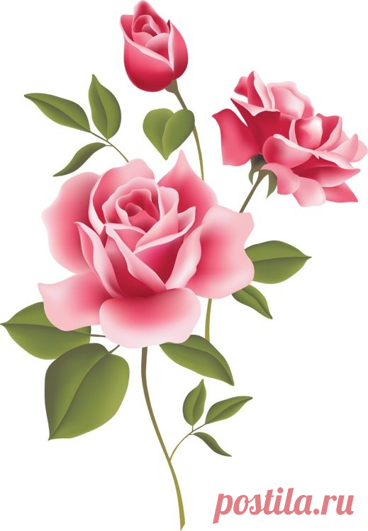 Beautiful Clip Art Of Flowers