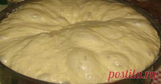 РЕЦЕПТЫ И СОВЕТЫ ХОЗЯЙКАМ: Простой рецепт самого вкусного теста. Пирожки получаются выше всяких похвал...