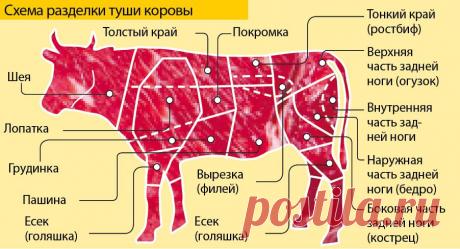 Как понять, какое мясо брать для котлет, а какое для супа? | Вопрос-Ответ | Аргументы и Факты