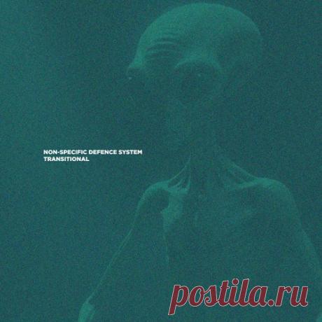 Non-Specific Defence System - Transitional [Merien Records]