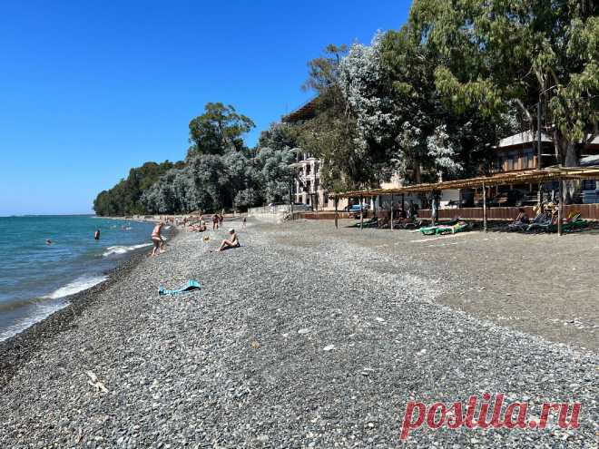 Эвкалиптовые пляжи в Абхазии: где жить, чтобы 1 минуту к морю ходить и эвкалиптами дышать. О жилье на курорте Кындыг (по вашим заявкам) | Зоркий | Дзен