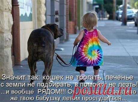 Веселые котоматрицы