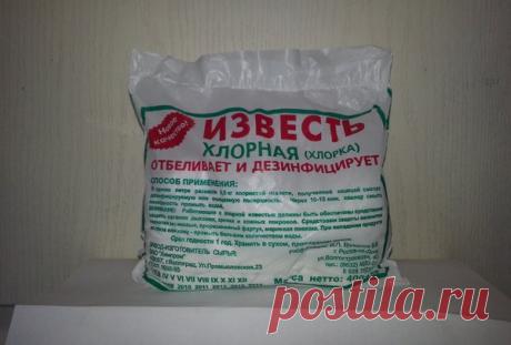 Как лучше всего дезинфицировать теплицу и надо ли менять в ней грунт | Дачная страна | Яндекс Дзен