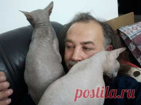 соскучились...