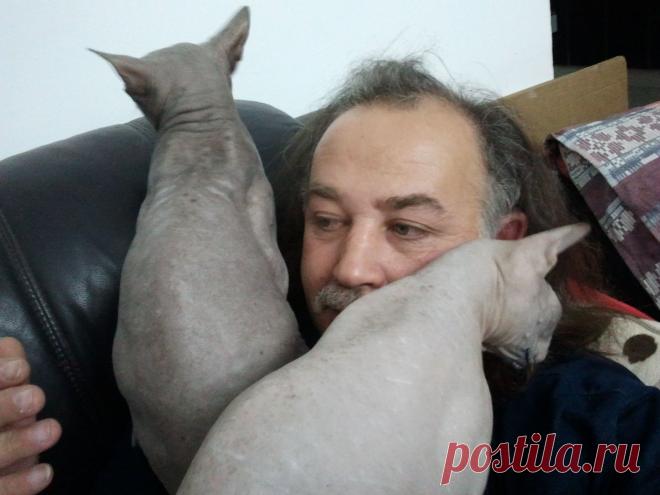 соскучились...