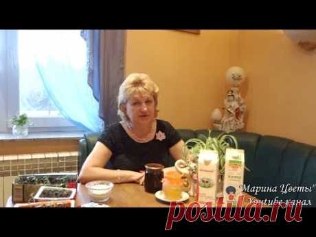 Если желтеют листья огурцов. &quot;Дедовский&quot; рецепт обработки