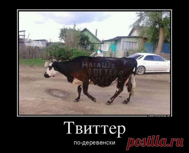 Твиттер по-деревенски