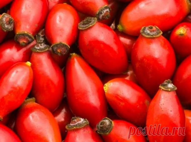 Самые полезные осенние ягоды