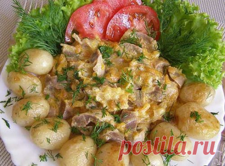 Куриные желудки, тушеные в сметане