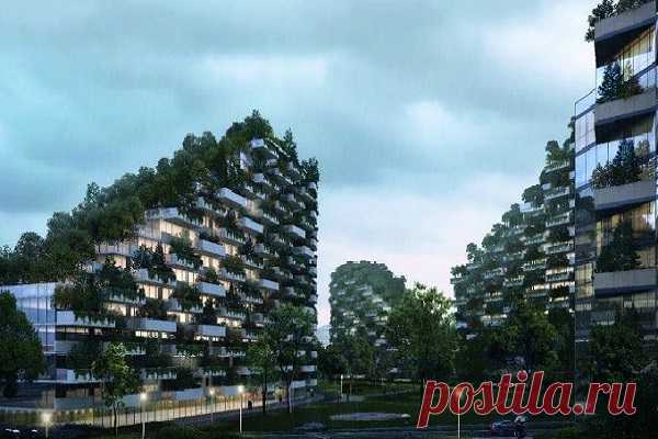 В Китае построят уникальный лесной город - МЕТЕОВЕСТИ от ФОБОС