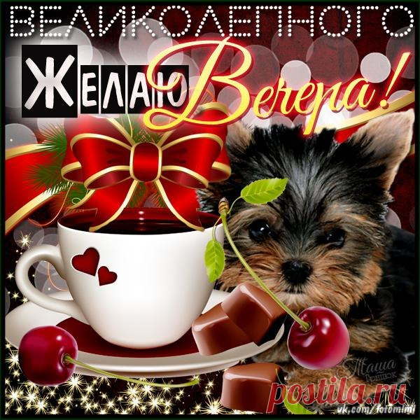 Великолепного всем вечера!)
 Красивые картинки и открытки  vk.com/fotomimi