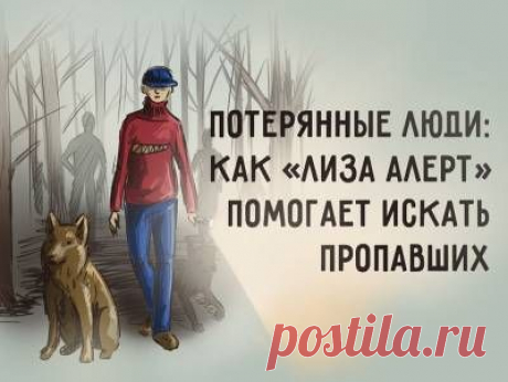 Пропавшая почти 2 месяца назад жительница Кузбасса найдена живой - 25 Октября 2015 - Russia-Asia-Siberia