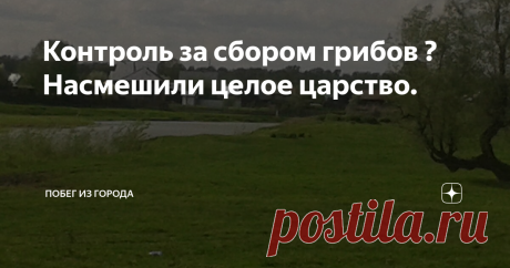 Контроль за сбором грибов ?Насмешили целое царство. Деревенский домик для городских жителей - настоящее спасение. Можно передохнуть от шумных улиц , загазованности , попить ключевой водички. Походы за грибами и ягодами перезагружают организм и дают возможность отдохнуть от городской суеты и нервотрёпки.