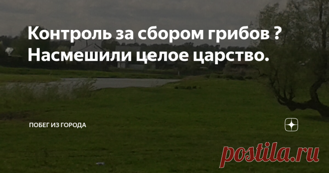 Контроль за сбором грибов ?Насмешили целое царство. Деревенский домик для городских жителей - настоящее спасение. Можно передохнуть от шумных улиц , загазованности , попить ключевой водички. Походы за грибами и ягодами перезагружают организм и дают возможность отдохнуть от городской суеты и нервотрёпки.