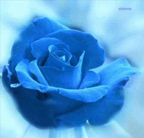 Alaaddin BOZKIR – Google+