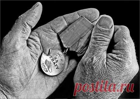 Эти награды приняли смерть / Всё самое лучшее из интернета