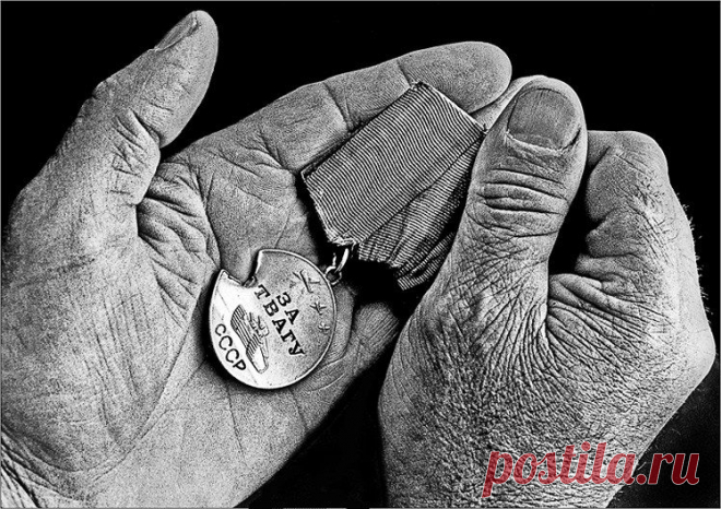 Эти награды приняли смерть / Всё самое лучшее из интернета