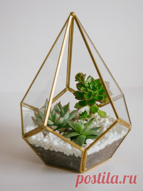 a glass terrarium filled with succulents and rocks
